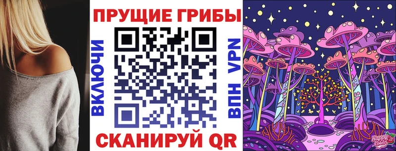 Купить  Кашира  Псилоцибиновые грибы Psilocybe 
